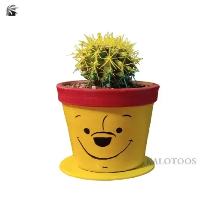 plant-echino-cactus