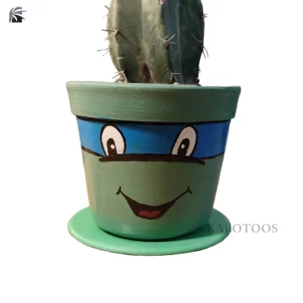 cactus-gymnocalycium-mihanovichii