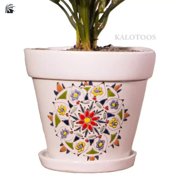 plant-aglaonema