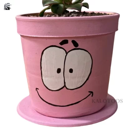 plant-succulent