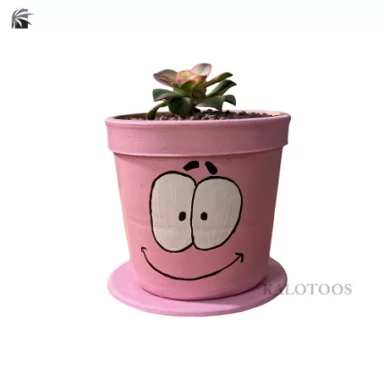 plant-succulent