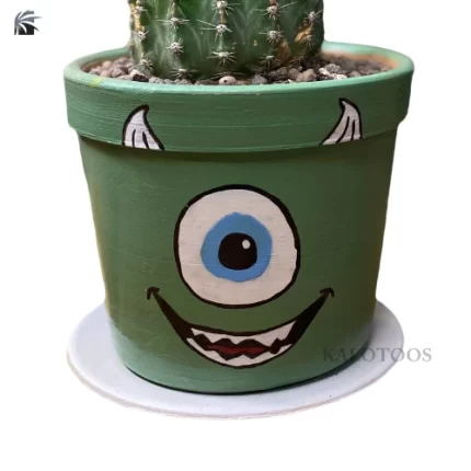 cactus-echinopsis