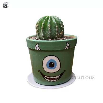 cactus-echinopsis