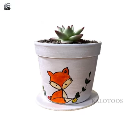 plant-sempervivum-calcareum
