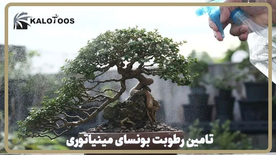miniature-bonsai-pruning-training