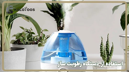 دستگاه رطوبت ساز؛ راهی برای تامین رطوبت گیاه