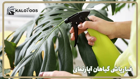 غبارپاشی گیاهان آپارتمانی