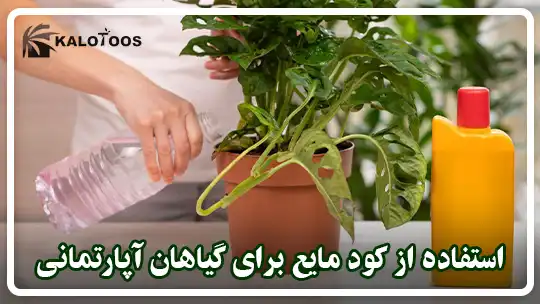 مزایای استفاده از کود مایع برای گیاهان آپارتمانی