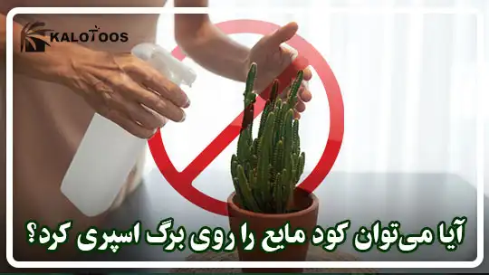 آیا می‌توان کود مایع را بر روی برگ‌های گیاه اسپری کرد؟