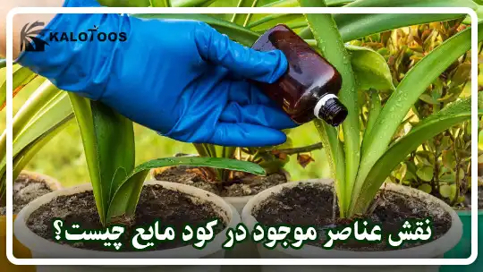 نقش عناصر موجود در کود مایع چیست؟