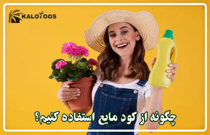 نحوه استفاده از کود مایع برای گیاهان آپارتمانی