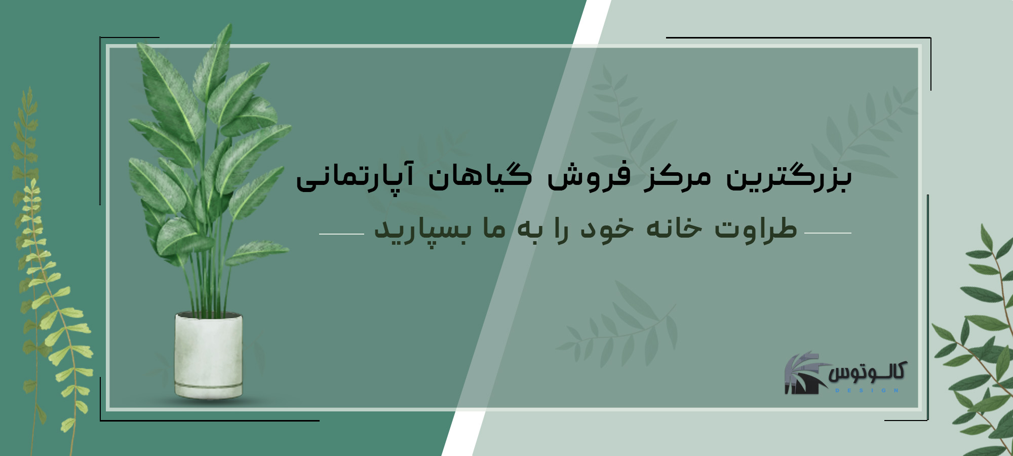 بنر کالوتوس2