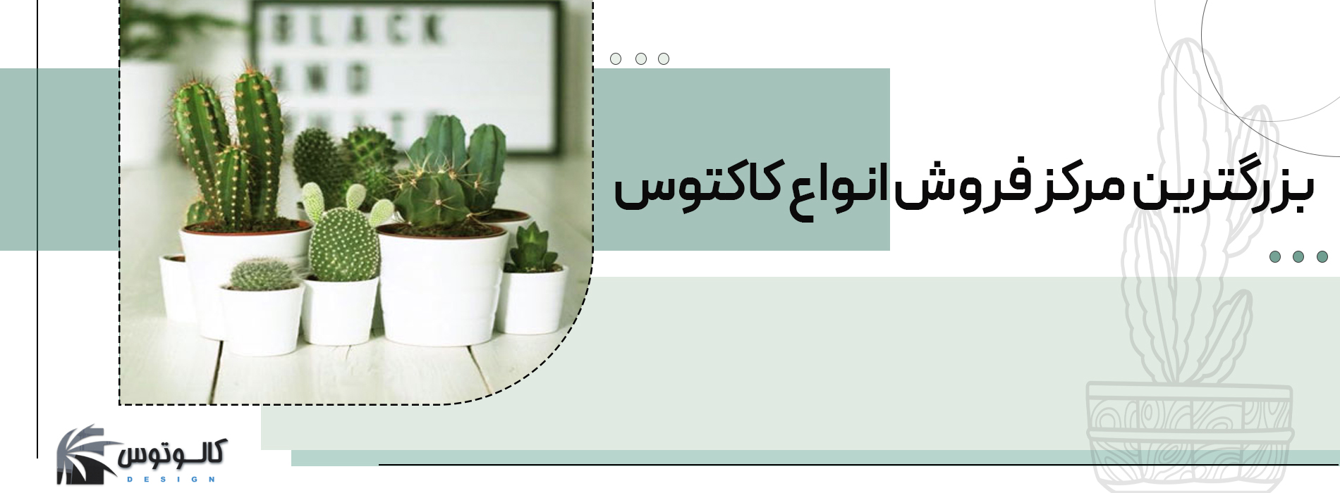 بنر کاکتوس